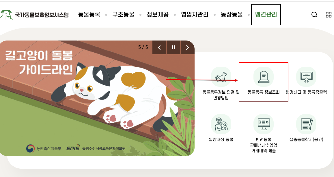 동물보호1 동물보호1