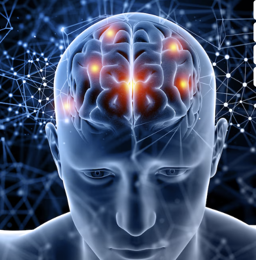 Monosnap 뇌 강조와 3D 의료 그림 | 무료 사진 2025-04-03 17-35-32 Monosnap 뇌 강조와 3D 의료 그림 무료 사진 2025 04 03 17 35 32